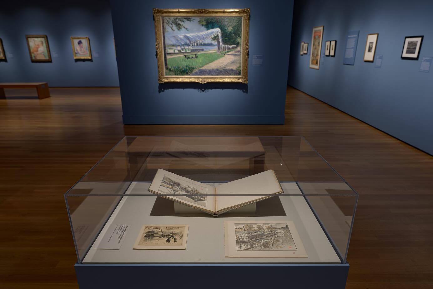 Museum-quality acrylic vitrines fabricated by Team Plastics